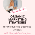 Organic Marketing Strategies for Introverted Business Owners I Introvertprenuer Podcast Pin